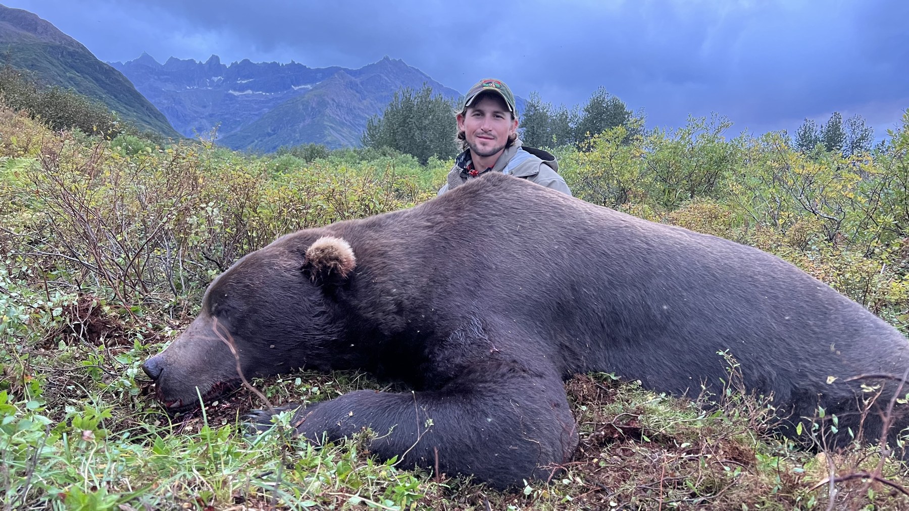 Fall Brown Bear