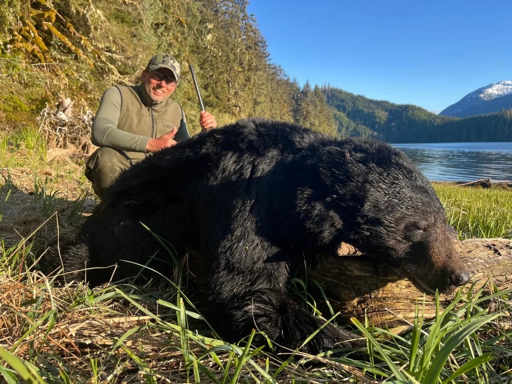 BC Coastal Black Bear