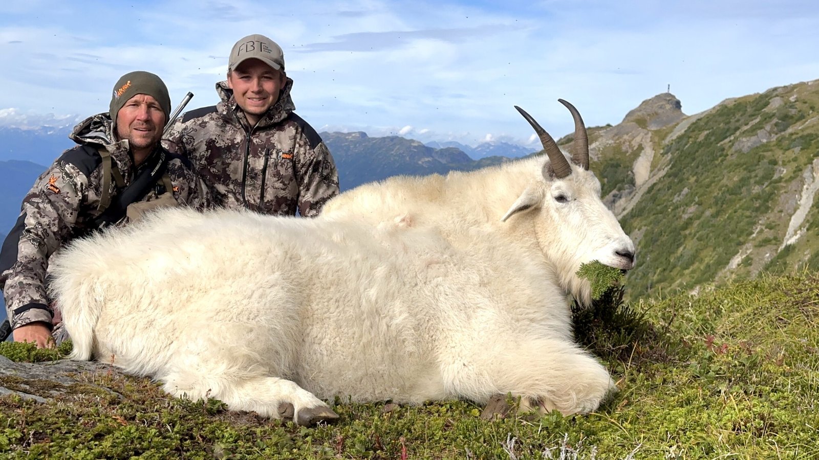 BC Mountain Goat 3
