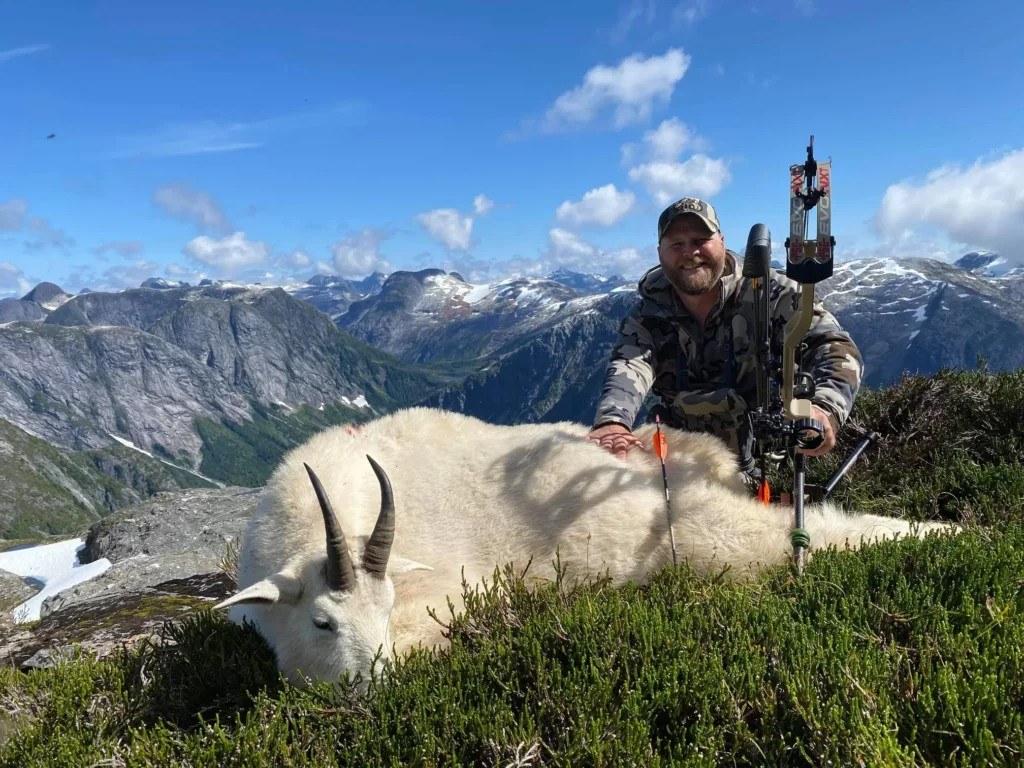 BC Mountain Goat