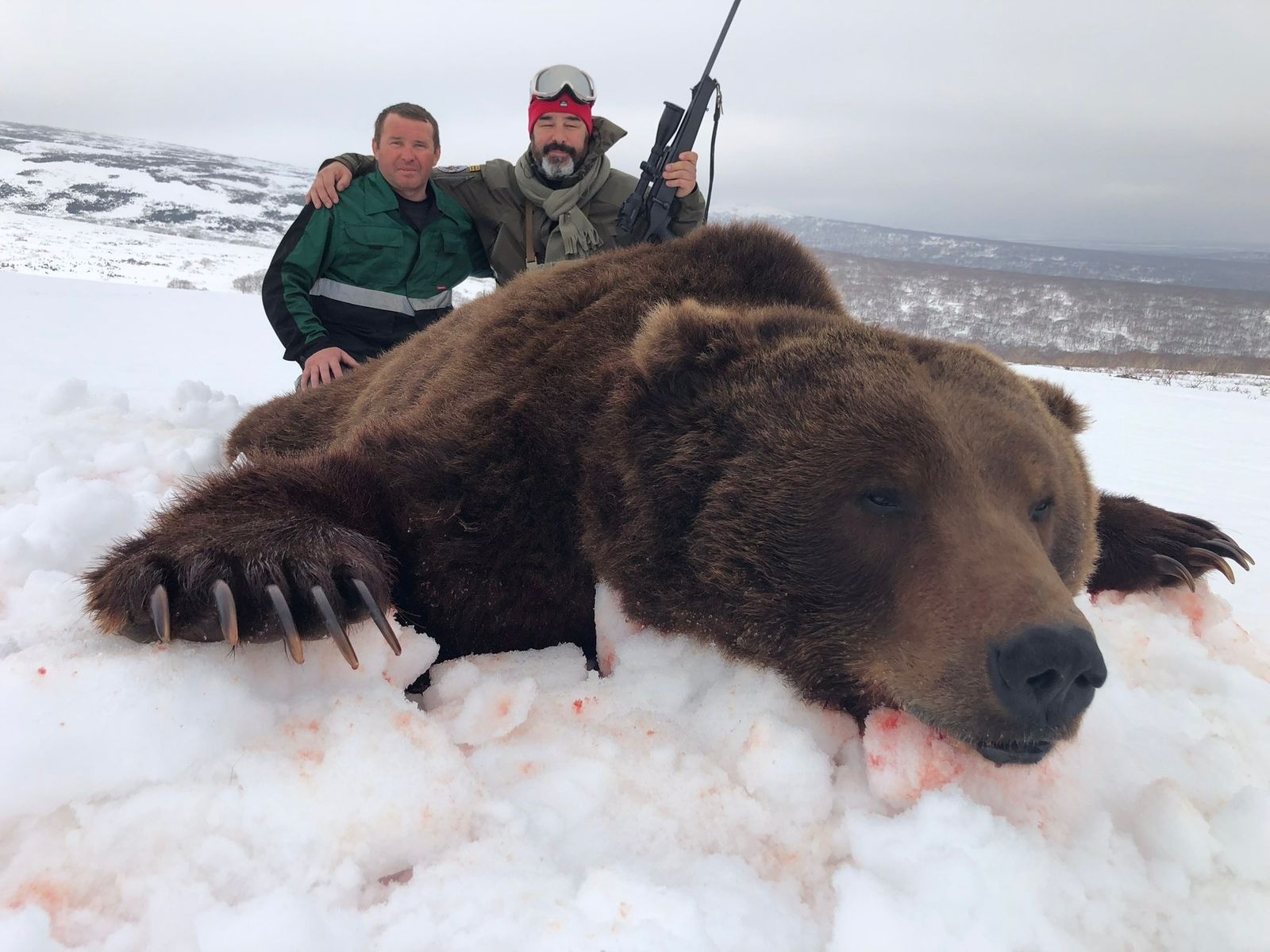 Kamchatka Brown Bear