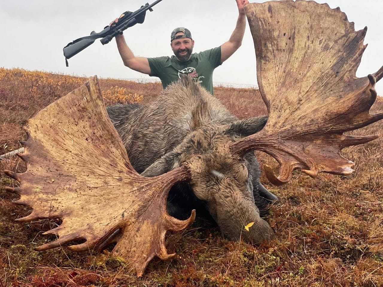 Kamchatka Moose