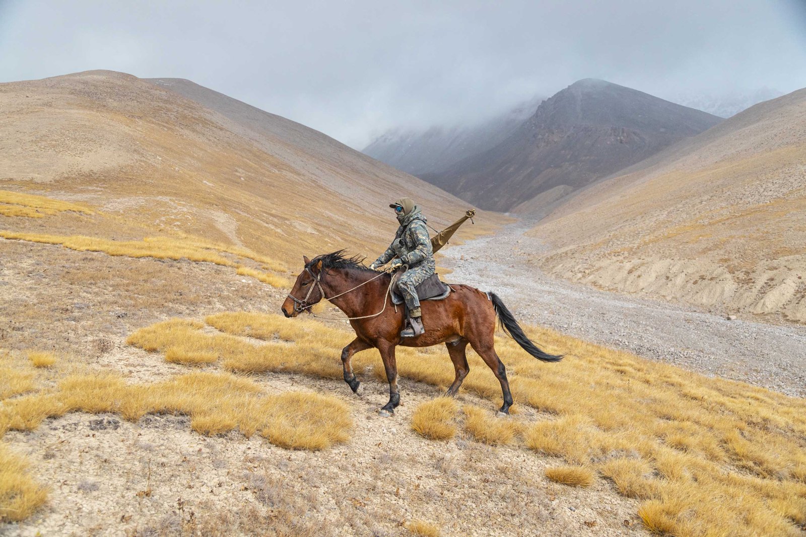 Marco Polo & Ibex in the Tian Shan
