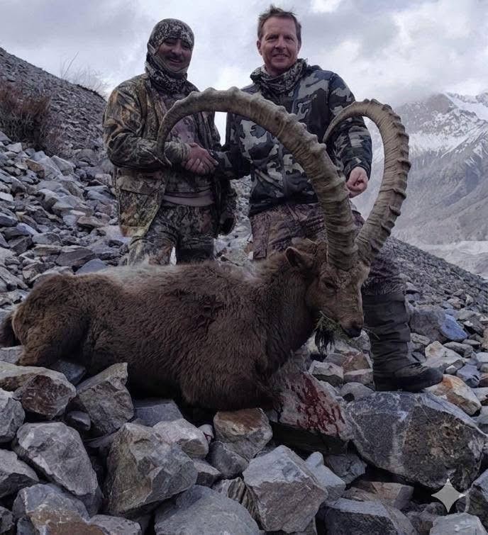 Pakistan Himalayan Ibex