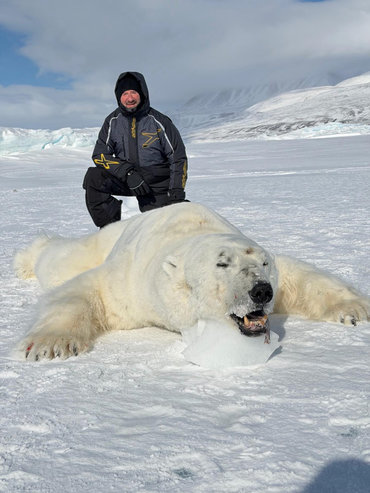 Polar Bear 2