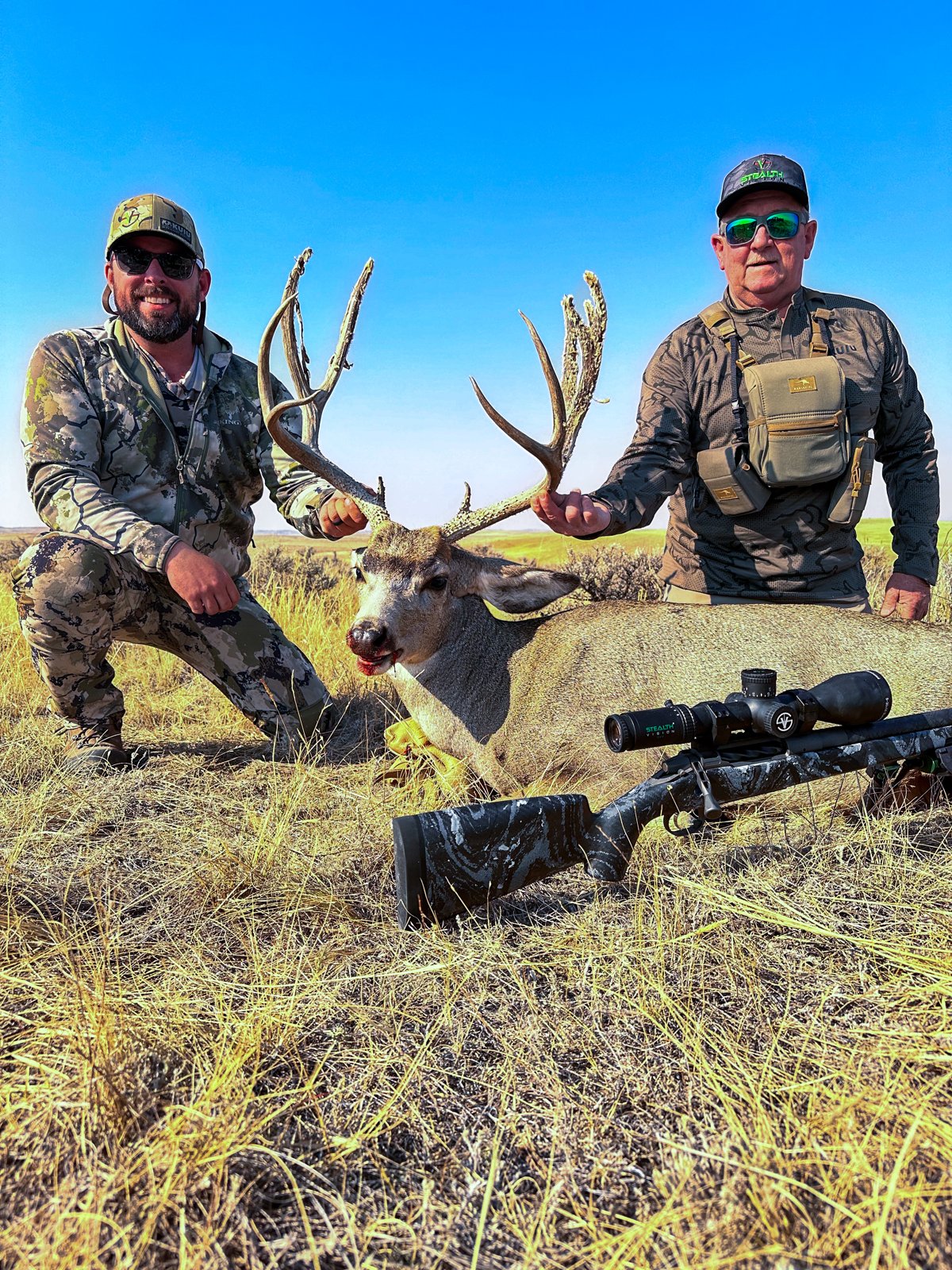 Western Mule Deer