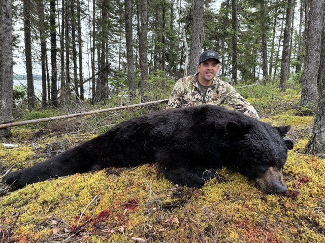 Newfoundland Trophy Black Bear — Single 3