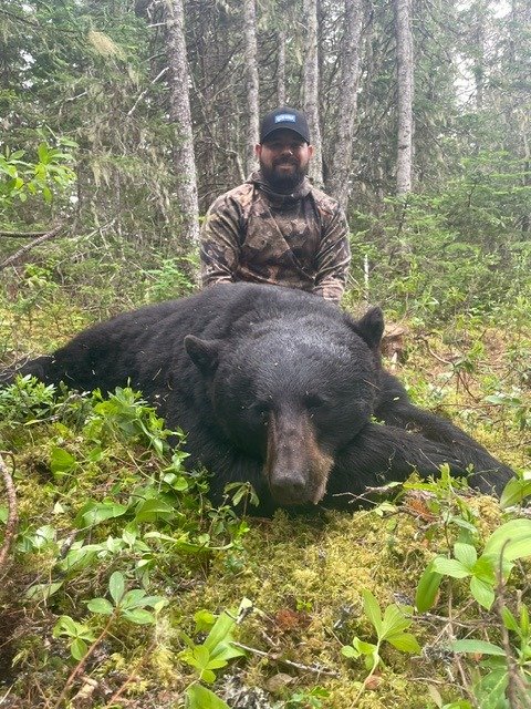 Newfoundland Trophy Black Bear — Single 4