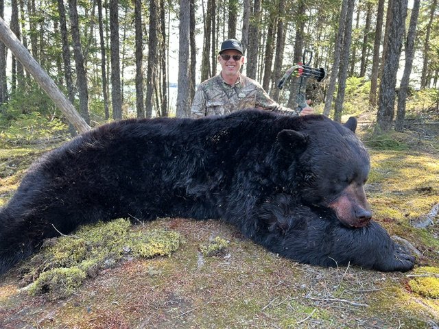 Newfoundland Trophy Black Bear — Single 5