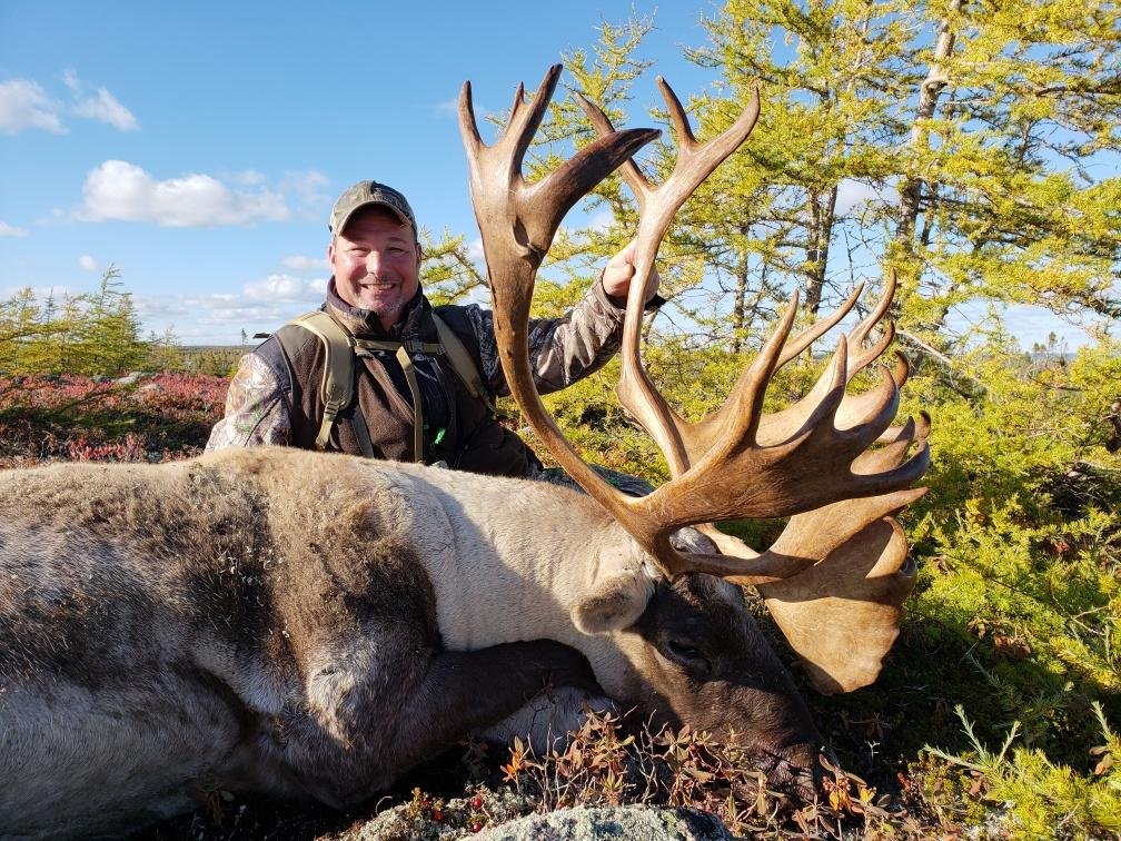 Newfoundland Woodland Caribou 4