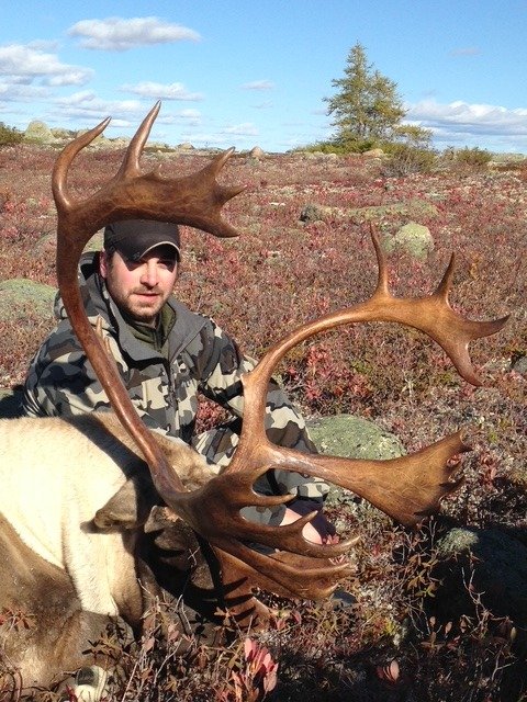 Newfoundland Caribou & Bear Combo 4