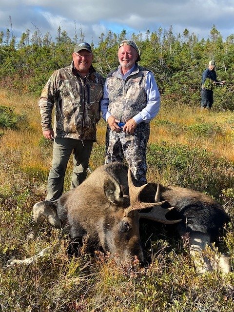 Newfoundland Moose & Bear Combo
