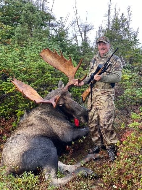 Newfoundland Eastern Moose — Single