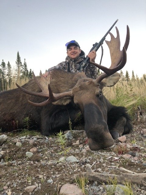 Newfoundland Eastern Moose — Single 3