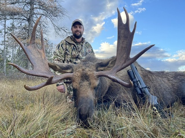 Newfoundland Eastern Moose — Single 5
