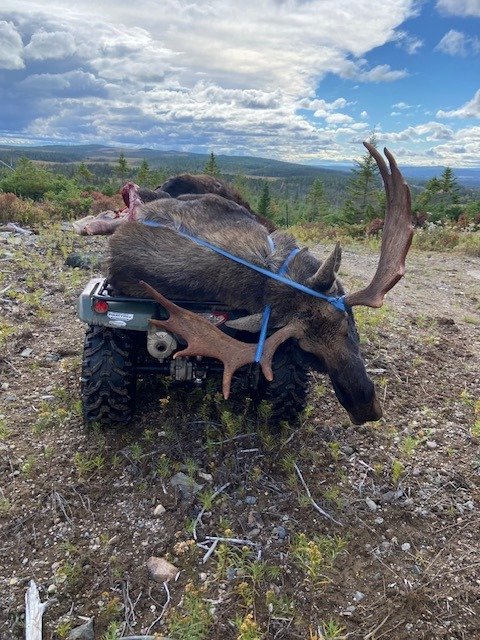 North American trophy
