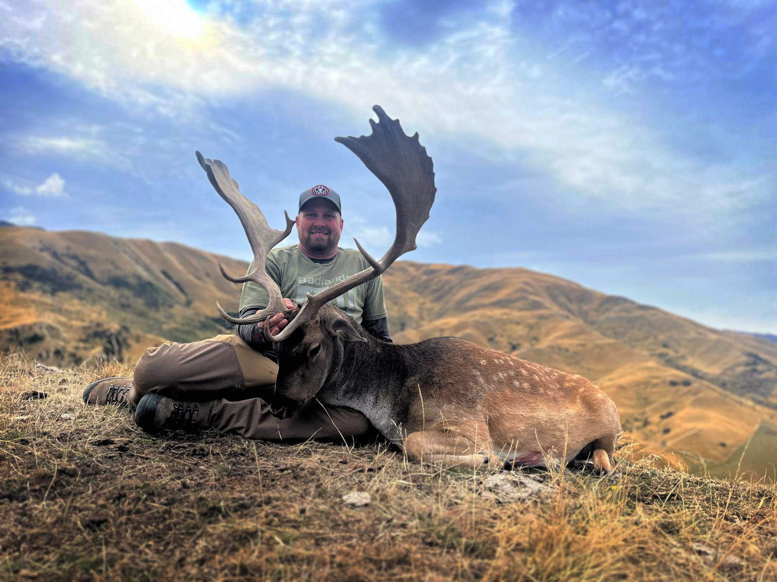 New Zealand Elk 2