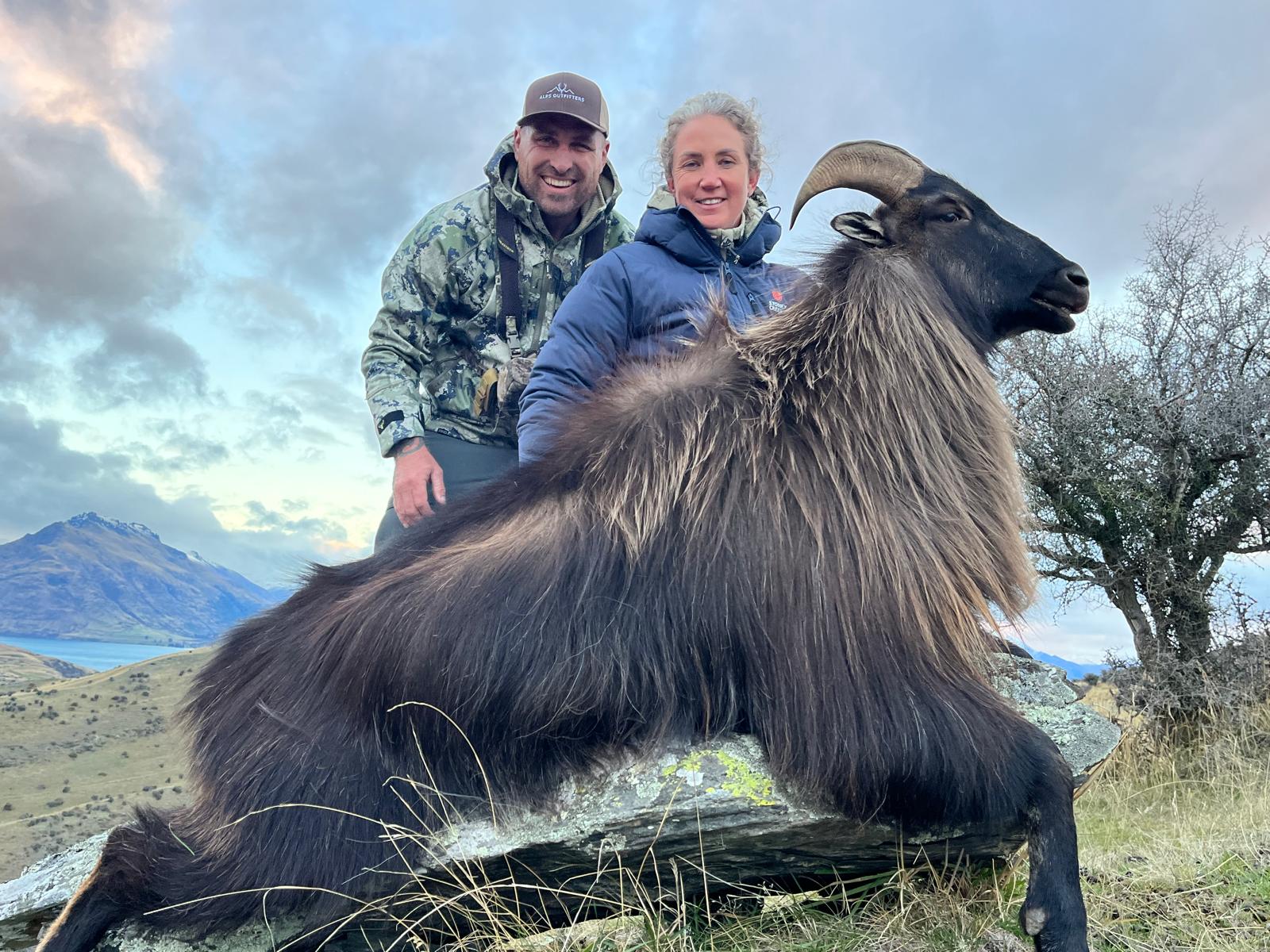 New Zealand Fallow Buck 3