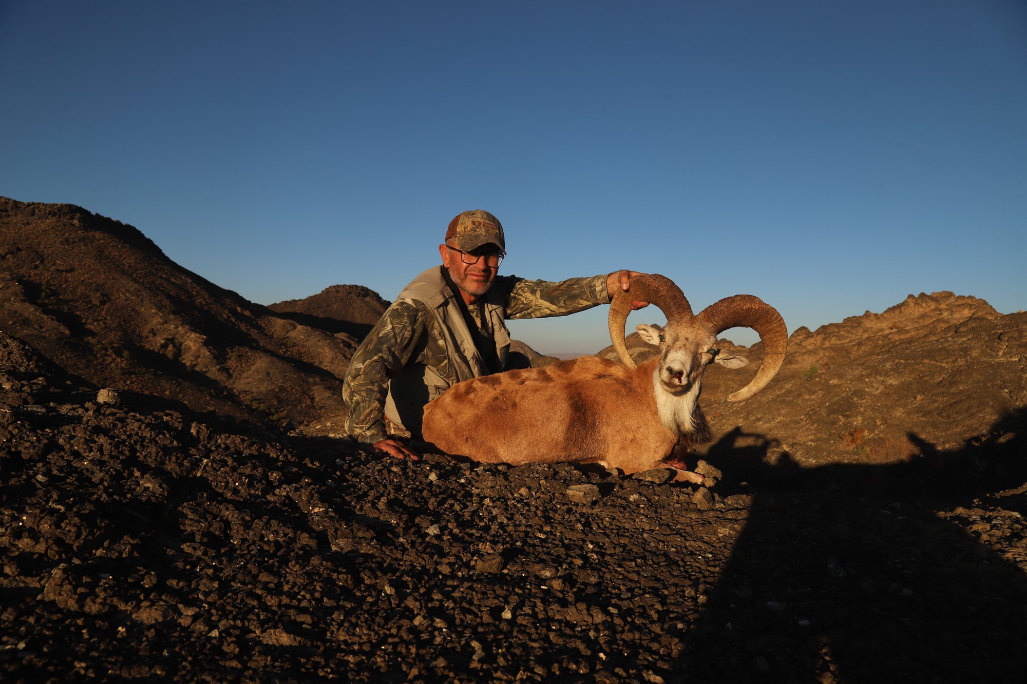 Pakistan Afghan Urial