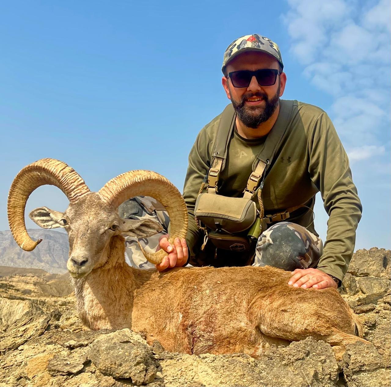 Blandford Urial & Sind Ibex 5