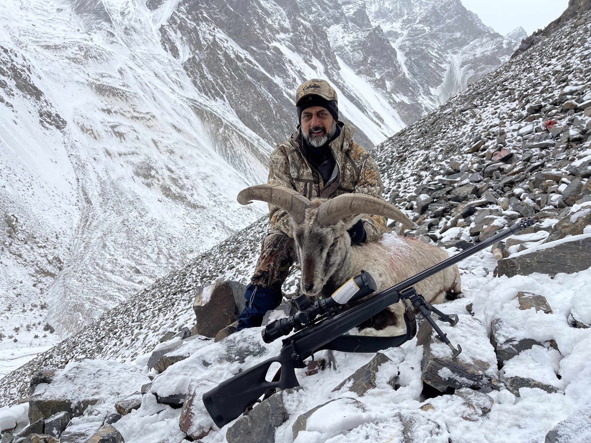 Pakistan Blue Sheep 12