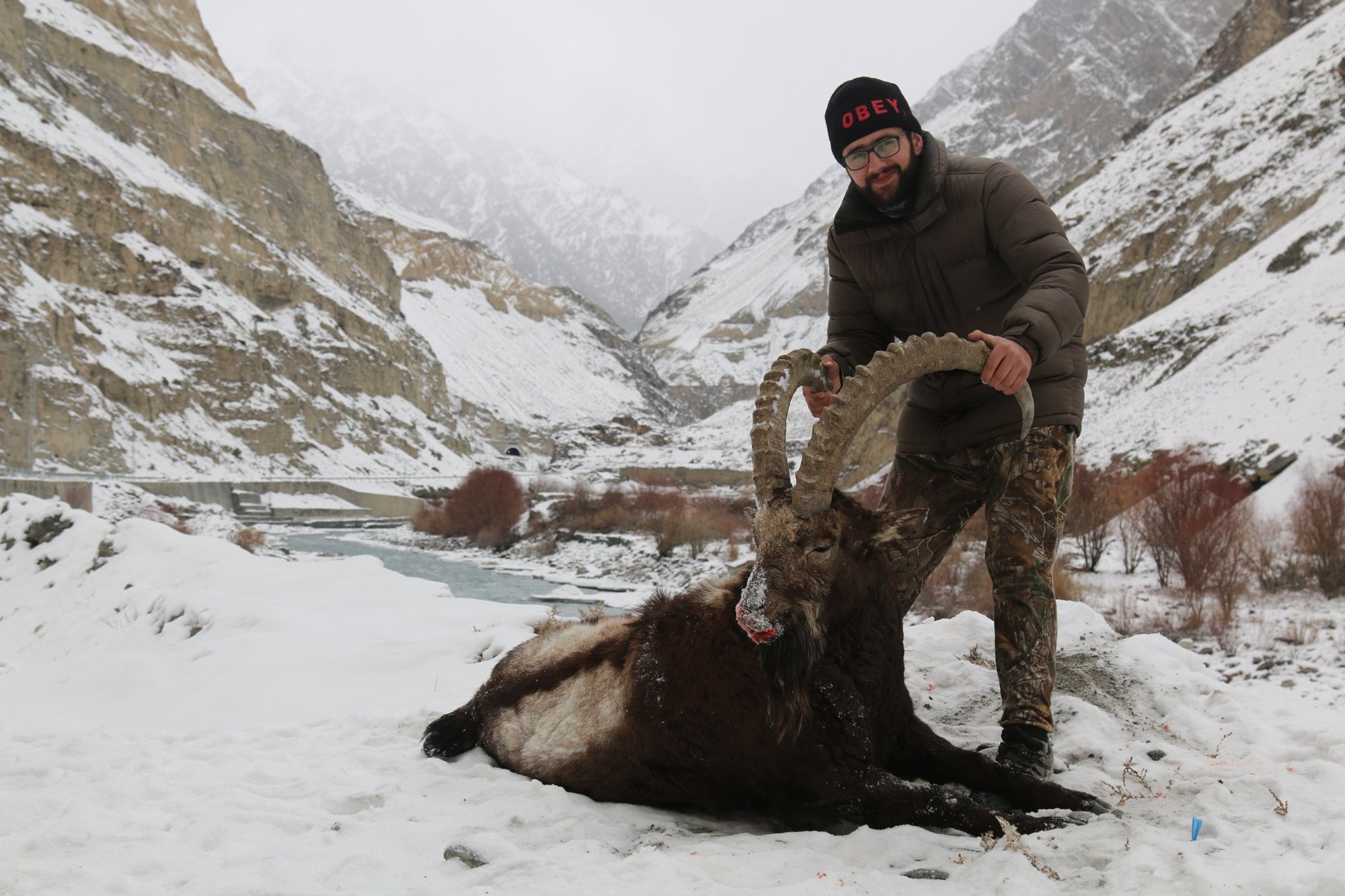 Pakistan Himalayan Ibex 1