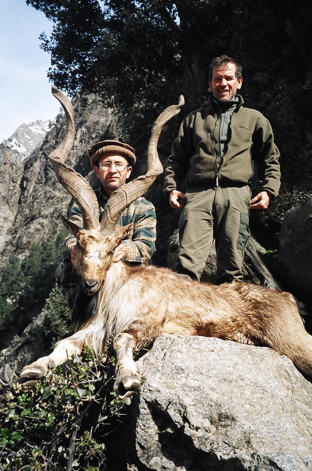 Pakistan Kashmir Markhor 2