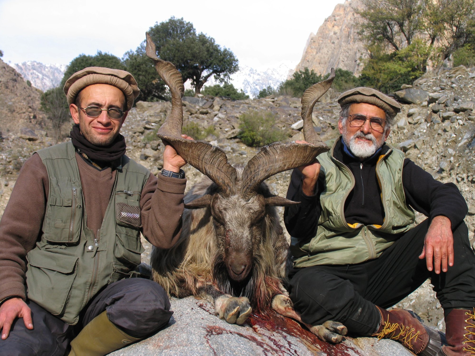 Pakistan Kashmir Markhor 4