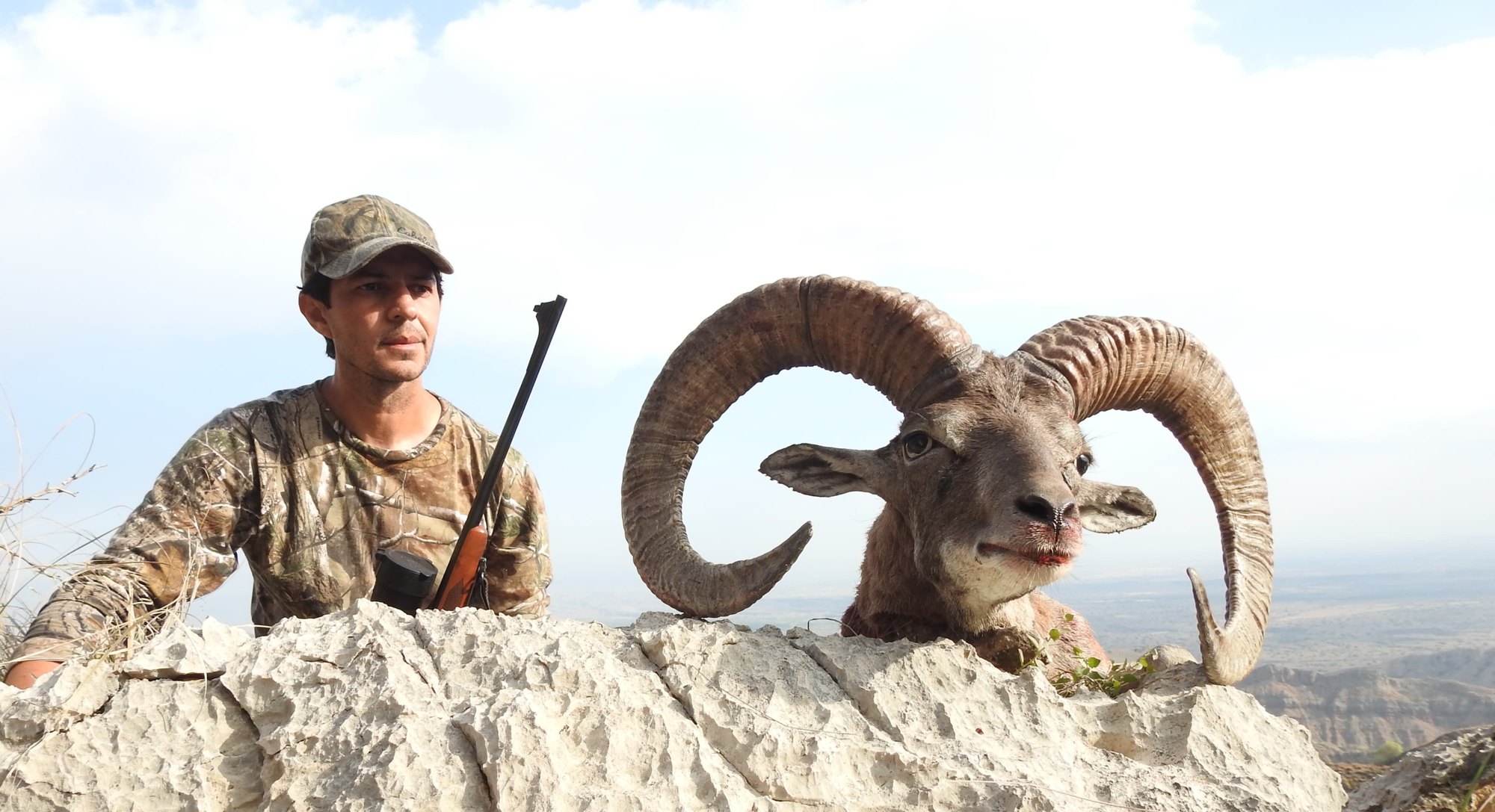 Pakistan Punjab Urial 2