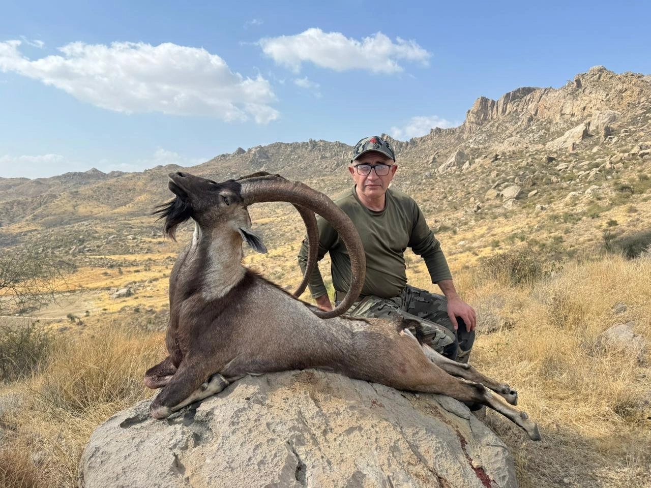 Sindh & Himalayan Ibex Combo 2