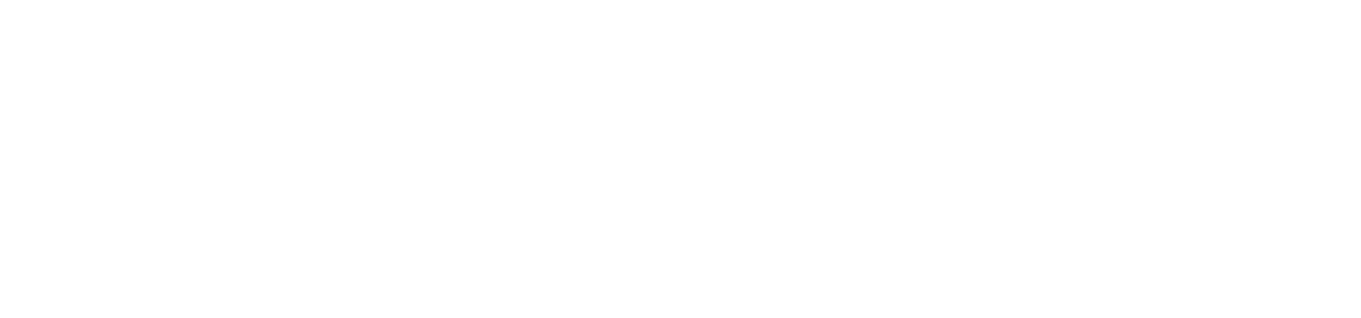 Stealth Vision