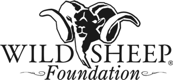 Wild Sheep Foundation