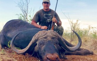Cape Buffalo Safari 3