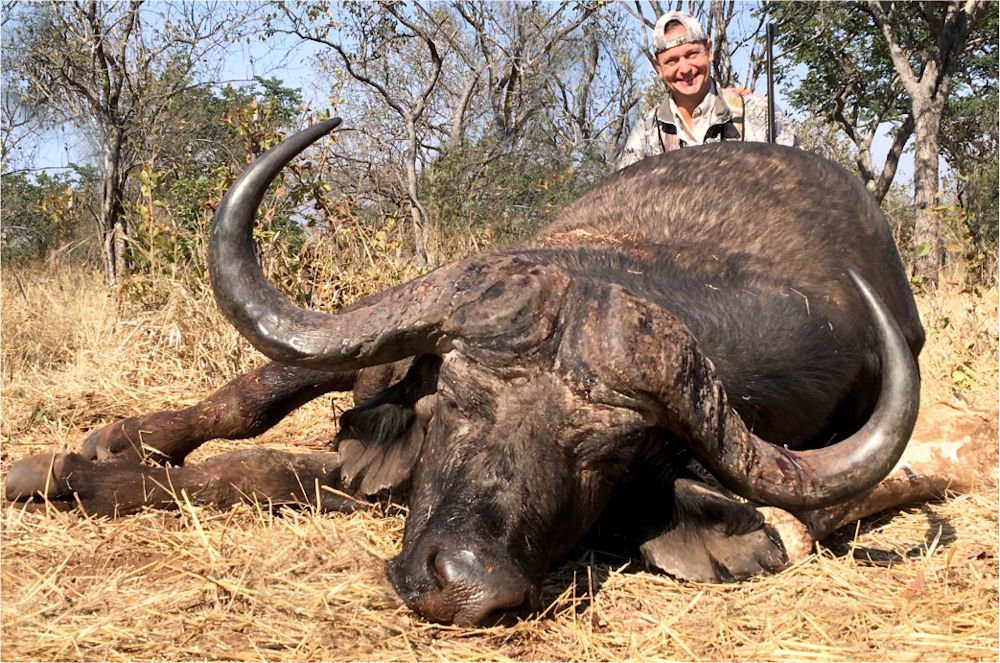 Cape Buffalo Safari 4