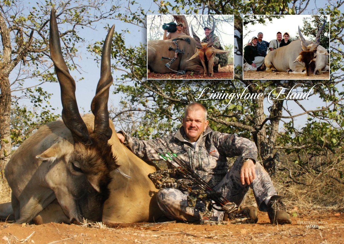 Eland Safari 1