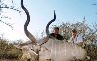 Trophy Kudu Safari 1