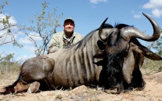Zebra & Blue Wildebeest Combo 3