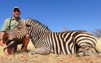 Zebra & Blue Wildebeest Combo 4