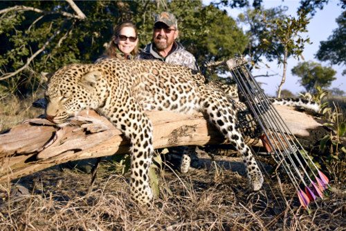 Dangerous Game trophy
