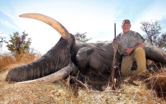Dangerous Game trophy