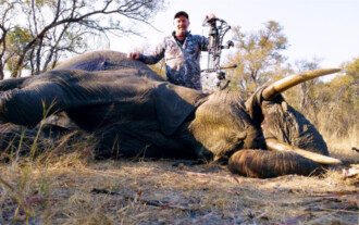 Dangerous Game trophy