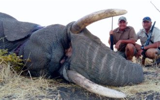 Dangerous Game trophy