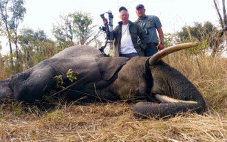 Dangerous Game trophy