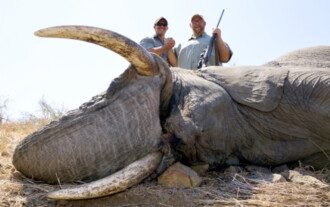 Dangerous Game trophy