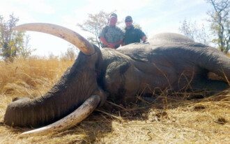 Dangerous Game trophy