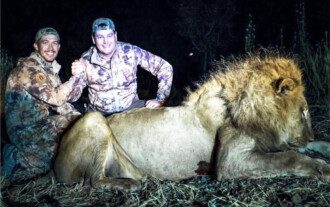 Dangerous Game trophy