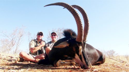 Spiral & Antelope trophy
