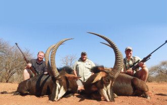 Spiral & Antelope trophy