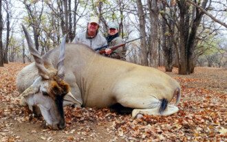 Spiral & Antelope trophy