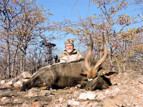 Spiral & Antelope trophy